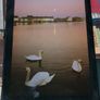 Galway: Heart Of The West by Peadar O'Dowd (signed) Image 4