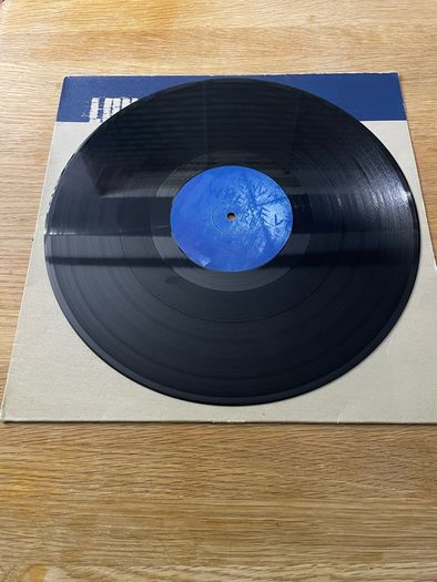 Lunatic Calm - Leave You Far Behind - 12" Vinyl Promo Single - 1997 MCA Records