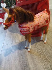 Our generation foal
