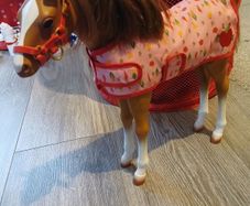 Our generation foal