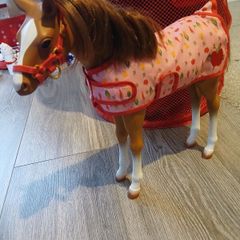 Our generation foal