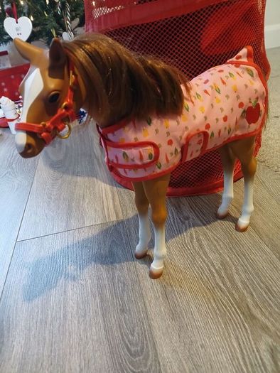 Our generation foal