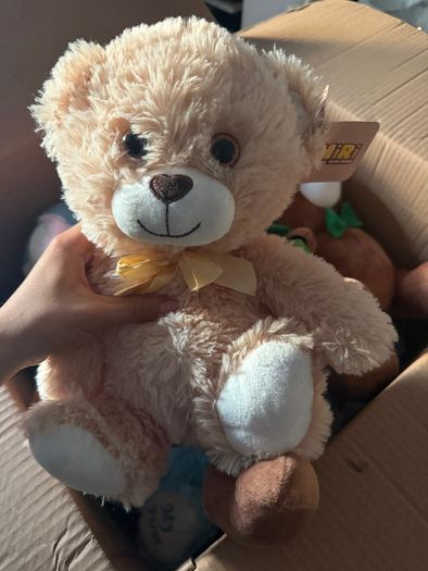 Teddys toys