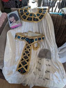 Cleopatra fancy dress costume
