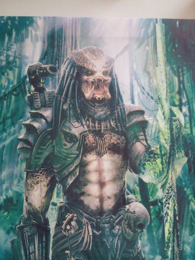 PREDATOR  picture on CANVAS 8 inches x 18 inches