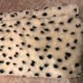 Cruella De Vil - Halloween Costume - Wig, Gloves and Dalmatian Shawl Image 5