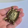 Brass Turtle Decorative Keepsake Hinged Trinket Box Image 5