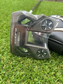 Cobra Supernova 3D Printed Putter