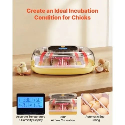 24 Egg Incubator, Automatic Egg Turner with LED Candler, Temperature  Humidity Control, 360 View Clear Window, Auto Water Refill, Poultry Eggs Incubators for Hatching Chicks Ducks Goose Quail