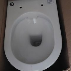 Toilet without cistern