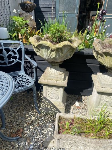 outdoor garden