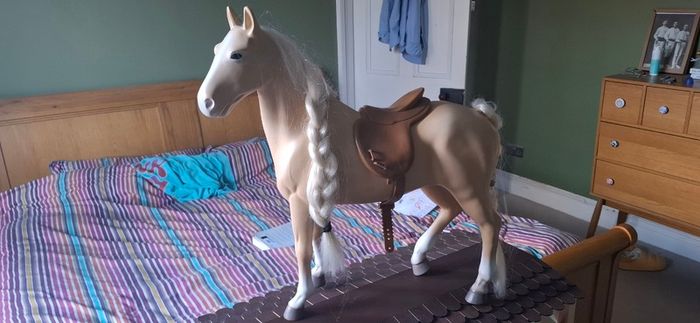 Our generation horse