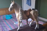 Our generation horse