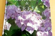 'Shrubs and Trees'