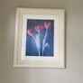 framed prints Image 2