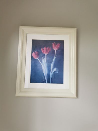framed prints