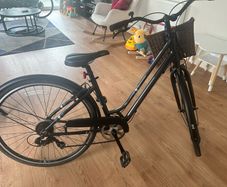 Giant Liv Flourish 3 Ladies Bike
