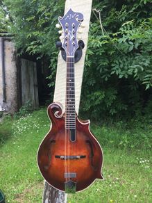 Vanden Mandolin
