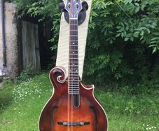 Vanden Mandolin