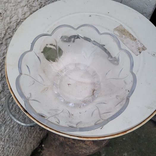 glass bowl