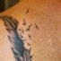 connie.graziani.5