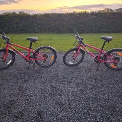 Frog Kids bike