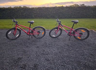 Frog Kids bike