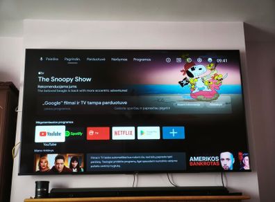 Sony KD65 Series 4K Tv(Need Fix)