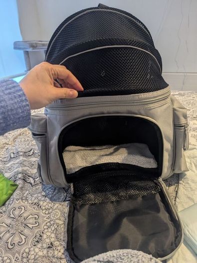 Sightseer Backpack Pet Carrier