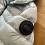 White canada goose Image 3