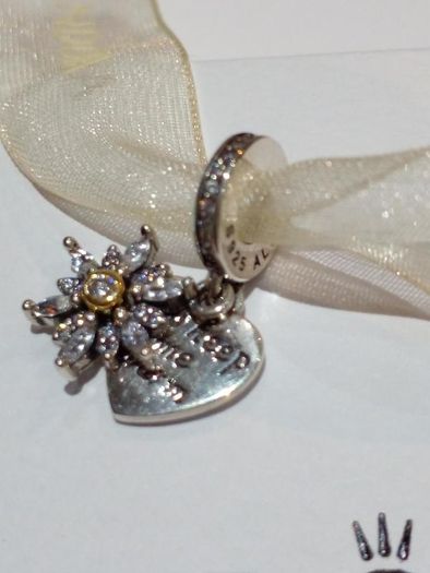 Pandora charm