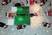Christmas lights 160