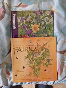 How to Draw Fairies & How to paint realistic Flowers