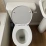 Toilet seat for sale Image 2