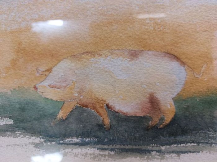 Original Watercolour - Pig