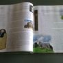 The Church of Ireland an illustrated history Irish history Image 8