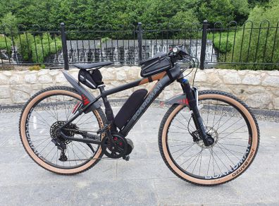 Electric Bike