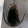 Large Viking Drinking horn with metal stand and leather belt holder Image 4