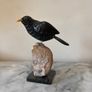 Hand-Carved Gemstone European Blackbird on Agate Geode Base Image 7