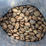Specialty Guatemalan Coffee - Exclusive Batch Image 4