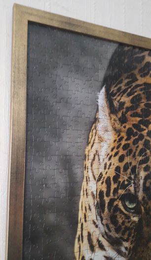 Jaguar Jigsaw Framed with artglass