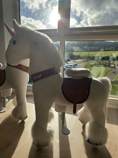 2 Unicorn riding ponies