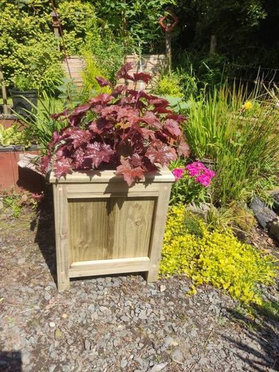 Planter Boxes
