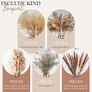 Fluffy Dried Flowers for Home Decor Image 2