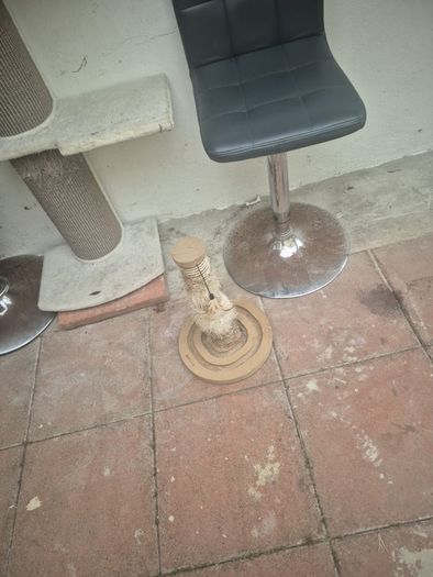 cat tower