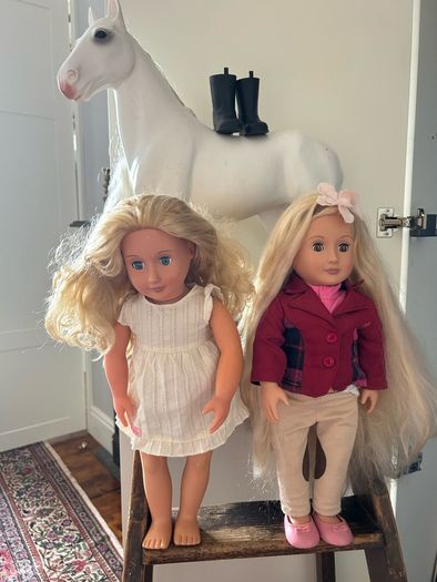 our generation dolls & horse