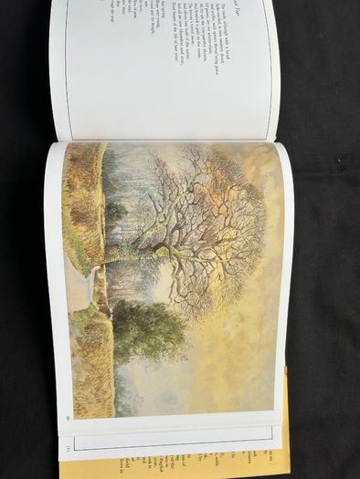 3 Collectible books