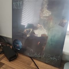 Hozier Wasteland baby limited edition ultra clear n transparent green double vinyl