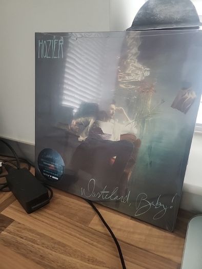 Hozier Wasteland baby limited edition ultra clear n transparent green double vinyl