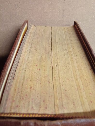 The Standard Book of Essential Knowledge